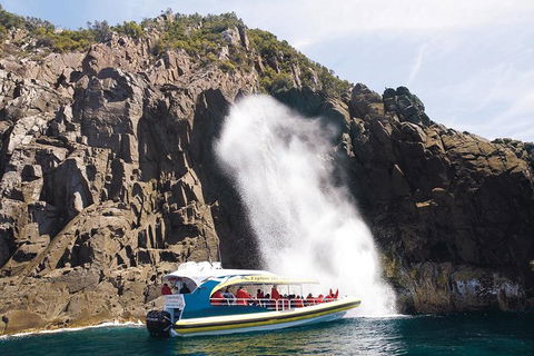 Full-Day Bruny Island Cruises Day Tour From Hobart - Sunshine Coast Guide 4