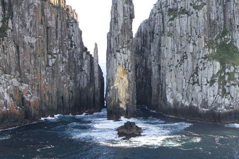Tasman Island Cruises And Port Arthur Historic Site Day Tour From Hobart - Sunshine Coast Guide 2