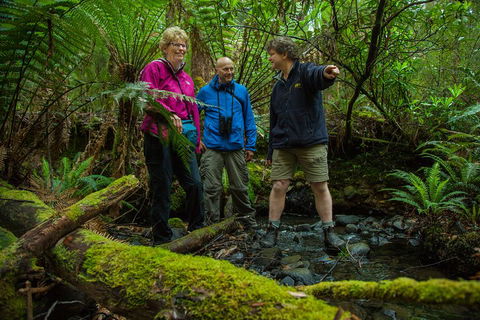 Bruny Island Traveller - Gourmet Tasting And Sightseeing Day Trip From Hobart - Sunshine Coast Guide 1
