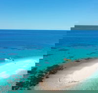 Ocean Safari Great Barrier Reef Experience in Cape Tribulation - Sunshine Coast Guide