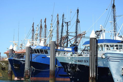 One Day Port Lincoln Tour - Tasting Eyre - Sunshine Coast Guide 0