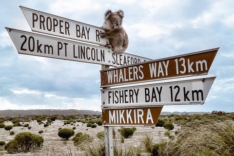 One Day Port Lincoln Tour - Tasting Eyre - Sunshine Coast Guide 2