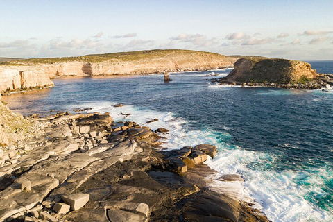 One Day Port Lincoln Tour - Tasting Eyre - Sunshine Coast Guide 3