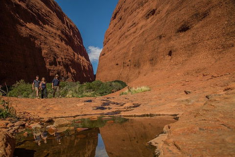 4 Day/3 Night Perentie Dreaming Safari - Sunshine Coast Guide 3