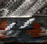 3 Day 4WD Dragonfly Dreaming Top End Safari - Sunshine Coast Guide