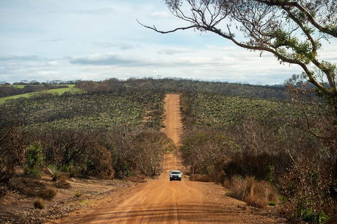 NEW TOUR - Kangaroo Island Road To Recovery Tour (1 Day/1 Night) - Sunshine Coast Guide 2