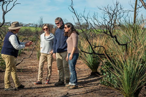 NEW TOUR - Kangaroo Island Road To Recovery Tour (1 Day/1 Night) - Sunshine Coast Guide 4