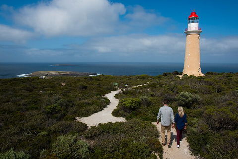 Full-Day Kangaroo Island Experience Departing From Kangaroo Island - Sunshine Coast Guide 2