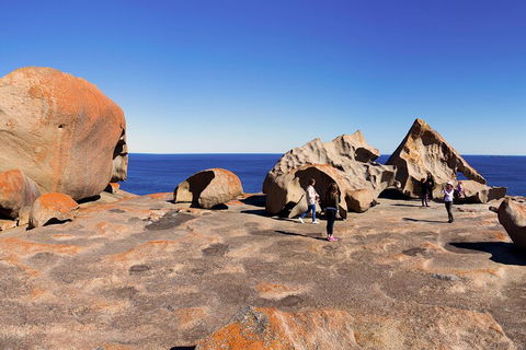 Full-Day Kangaroo Island Experience Departing From Kangaroo Island - Sunshine Coast Guide 4