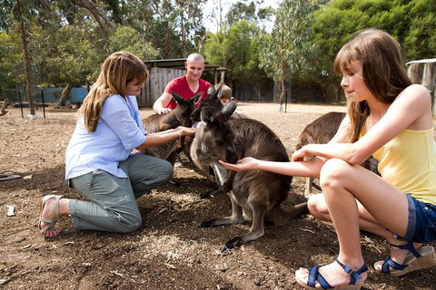 Full-Day Kangaroo Island Experience Departing From Kangaroo Island - Sunshine Coast Guide 5