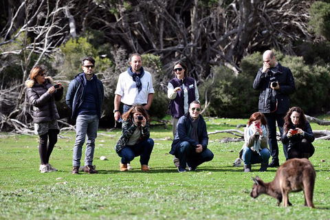 Small-Group Kangaroo Island 4WD Tour From Adelaide - Sunshine Coast Guide 2