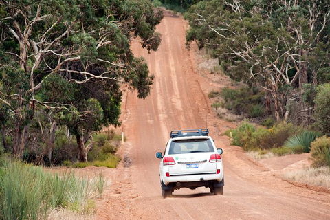 Small-Group Kangaroo Island 4WD Tour From Adelaide - Sunshine Coast Guide 3