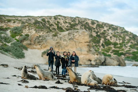 Small-Group Kangaroo Island 4WD Tour From Adelaide - Sunshine Coast Guide 4