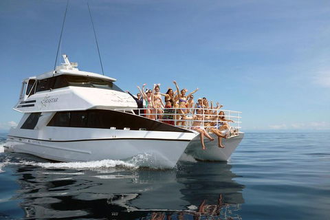 Seastar Luxury Outer Great Barrier Reef Island And Reef Tour From Cairns - Sunshine Coast Guide 4