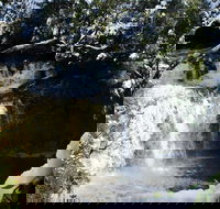 Cradle Mountain Day Tour from Launceston Including Lunch - Sunshine Coast Guide