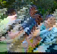 Small-Group Australia Zoo Day Trip from Brisbane - Sunshine Coast Guide