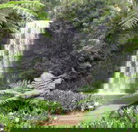 Private Daintree and Cape Tribulation Tour from Port Douglas - Sunshine Coast Guide