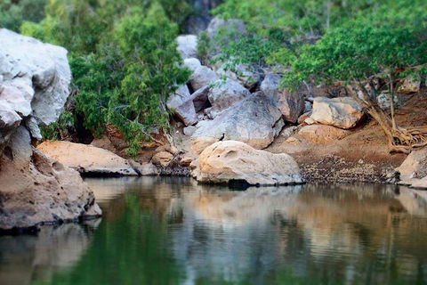 Windjana Gorge And Tunnel Creek 4WD Tour From Broome - Sunshine Coast Guide 5