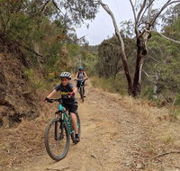Mount Lofty Descent Bike Tour from Adelaide - Sunshine Coast Guide