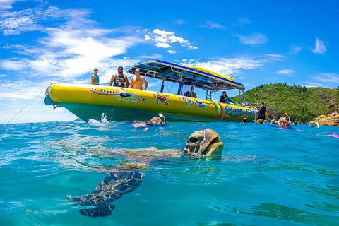 Great Barrier Reef Scenic Flight And Ocean Rafting Whitehaven Beach Day Trip - Sunshine Coast Guide 1