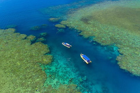 Great Barrier Reef Scenic Flight And Ocean Rafting Whitehaven Beach Day Trip - Sunshine Coast Guide 4