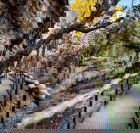 Kakadu National Park Cultural Experience - Sunshine Coast Guide