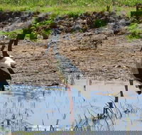 Darwin to Kakadu Day Trip by Air Including Yellow Water Cruise - Sunshine Coast Guide