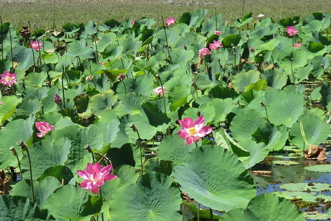 Darwin To Kakadu Day Trip By Air Including Yellow Water Cruise - Sunshine Coast Guide 2