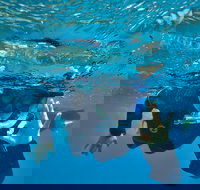 3 Day Whitsundays Sailing and Diving Adventure Kiana - Sunshine Coast Guide