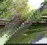 Hartley's Crocodile Adventures Breakfast with the Koalas - Sunshine Coast Guide