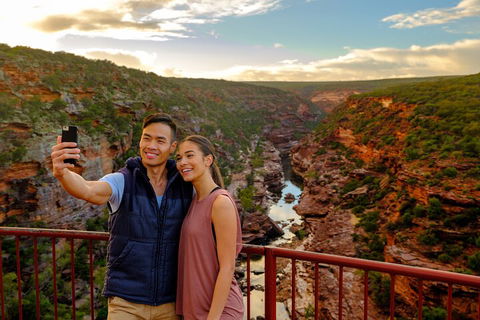 7-Day Exmouth Explorer Via Pinnacles Monkey Mia Ningaloo Reef Returning To Perth - Sunshine Coast Guide 5