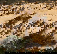 Pinnacles Sunset Dinner and Stargazing Experience a Small Group Tour - Sunshine Coast Guide