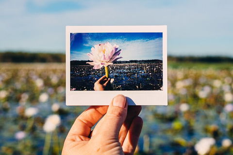 Kakadu Wilderness Escape - Top End Day Tour From Darwin - Sunshine Coast Guide 3