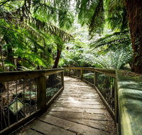 12 Apostles Eco-Friendly Great Ocean Road Iconic Adventure from Melbourne - Sunshine Coast Guide
