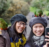 Small-Group Great Ocean Road and 12 Apostles Full-Day Tour from Melbourne - Sunshine Coast Guide