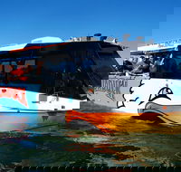 Express Jet Boat Ride  Aquaduck - Sunshine Coast Guide