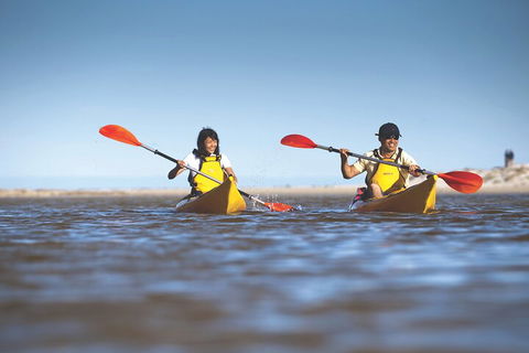 Kangaroo Island Self-Guided Kayaking On The Harriet River - Sunshine Coast Guide 2