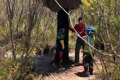 Kangaroo Island Quad Bike (ATV) Tours - Sunshine Coast Guide 0