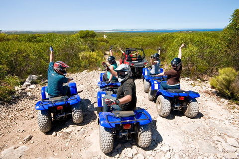 Kangaroo Island Quad Bike (ATV) Tours - Sunshine Coast Guide 3