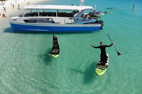 Whitsunday Bullet Day Trip - Whitehaven Beach And Snorkelling - Sunshine Coast Guide 4