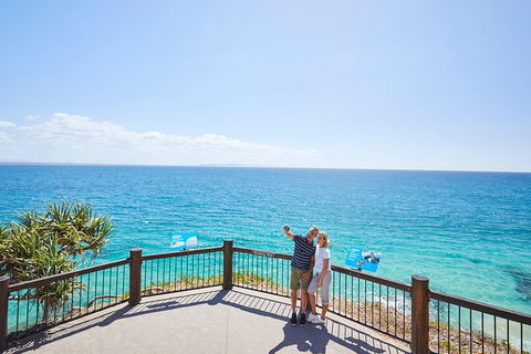 Noosa Everglades Serenity Cruise & Highlights Tour Inc. Lunch & Cruise - Sunshine Coast Guide 3