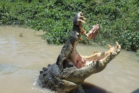 Litchfield And Jumping Crocodiles Full Day Trip From Darwin - Sunshine Coast Guide 3