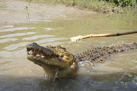 Litchfield And Jumping Crocodiles Full Day Trip From Darwin - Sunshine Coast Guide 4