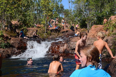 Litchfield And Jumping Crocodiles Full Day Trip From Darwin - Sunshine Coast Guide 5
