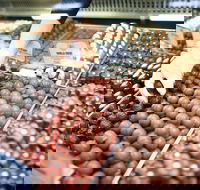 Pinnacles Desert Private Tour - Sunshine Coast Guide