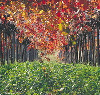 Margaret River Private Tour - Sunshine Coast Guide