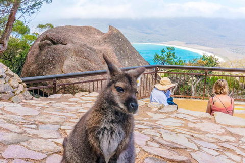 Wineglass Bay & Freycinet NP Full Day Tour From Hobart Via Richmond Village - Sunshine Coast Guide 0