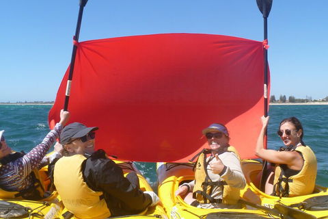 Seal Island And Penguin Island Or Point Peron Sea Kayak Tour - Sunshine Coast Guide 2