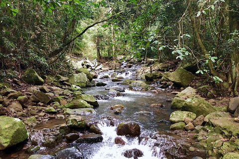 Exclusive Private Tour - Design Your Own - Sunshine Coast Guide 1