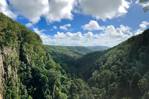 Exclusive Private Tour - Design Your Own - Sunshine Coast Guide 3